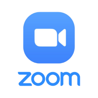 1. Zoom Lessons $16.50/1 hour