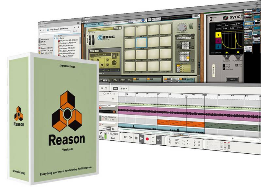 Reason 12 DVD