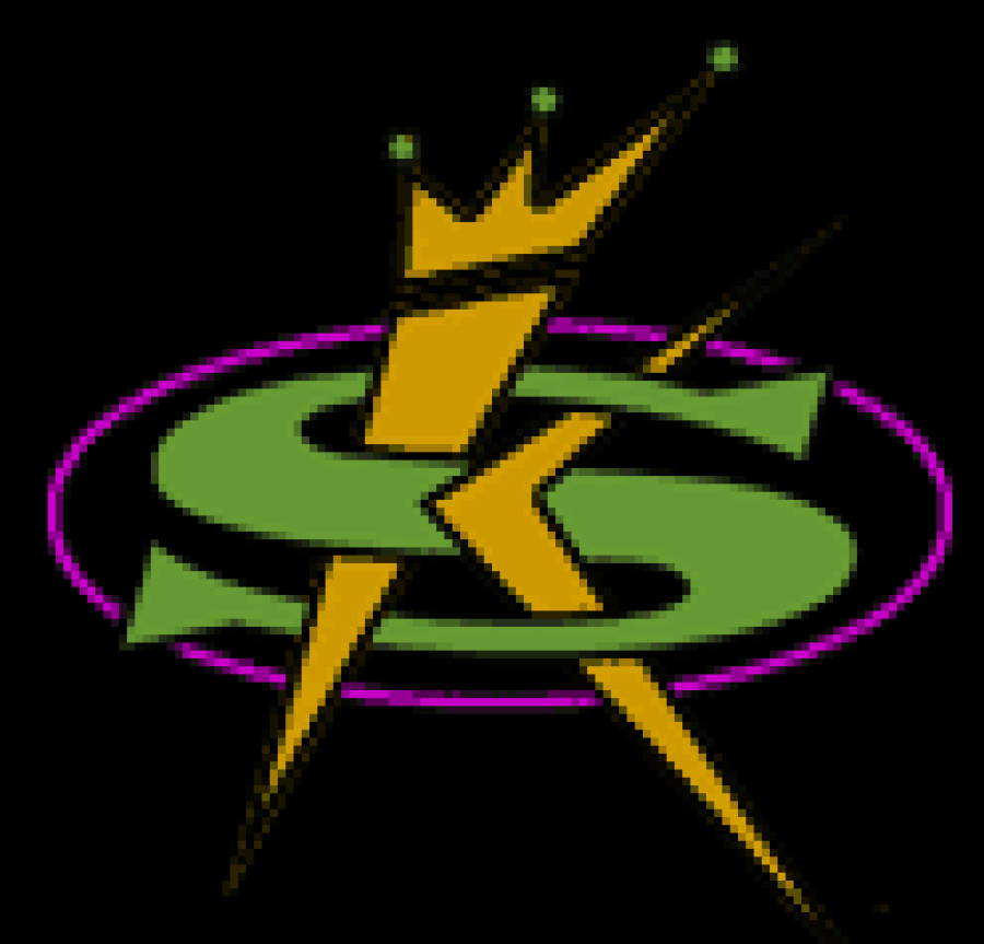 2. The SampleKings $175.89 1 year Membership